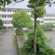 安庆阳光职业技术学校