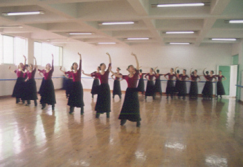 自贡市舞蹈学校
