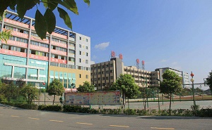 柘城县职业教育中心